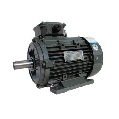 東元電機(jī)V系列標(biāo)準(zhǔn)電機(jī)與高效率電機(jī)說明書 東元電機(jī)V系列標(biāo)準(zhǔn)電機(jī)與高效率電機(jī)說明書