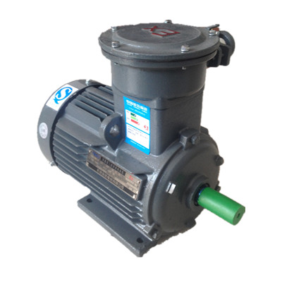 東元防爆電機說明書 東元防爆電機說明書