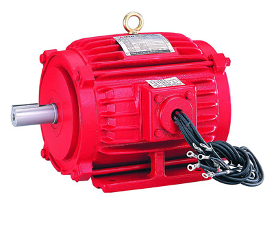 東元高溫排煙電機(jī)