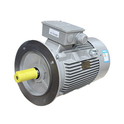 西門子電機(jī)1LE001